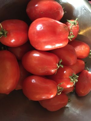 Tomato Roma Organic Eastport