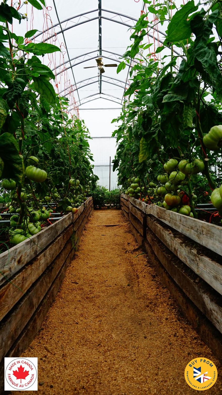 Organic Grow Your Own Kit – Advanced Set