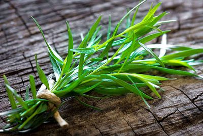 Organic tarragon