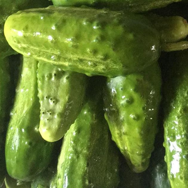 Organic Spicy Dill Pickles