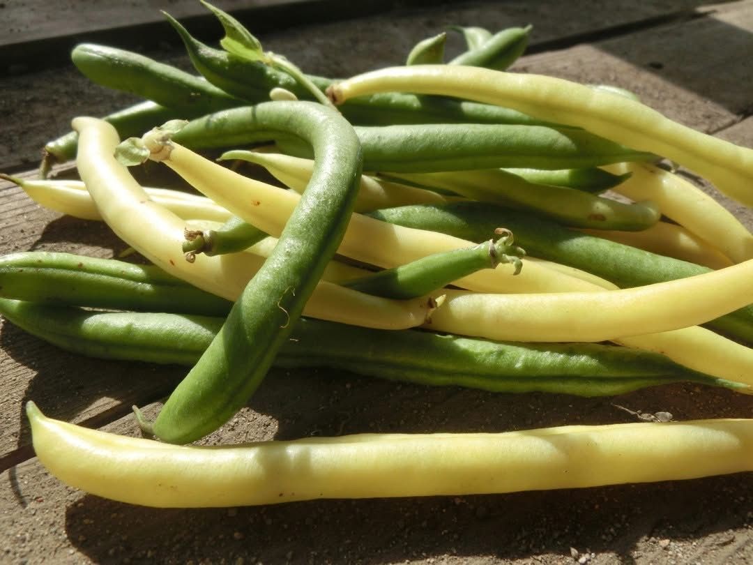 Green beans