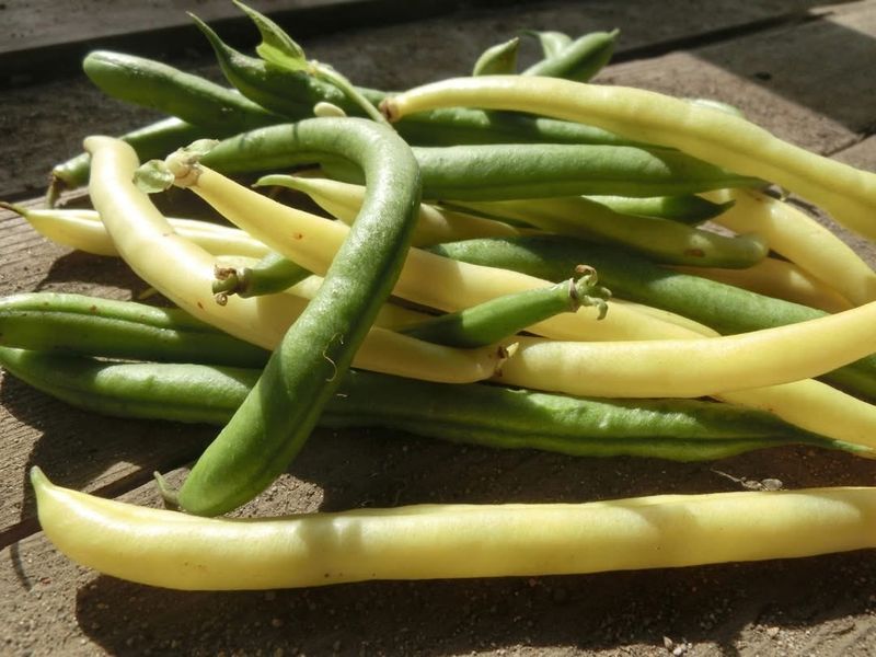 Green beans