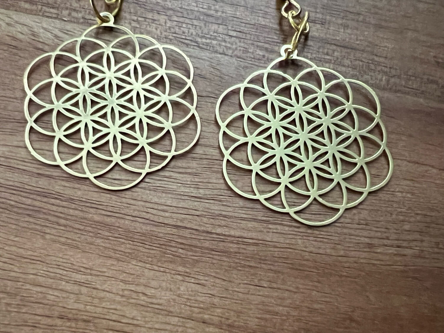 Earrings: Gold Plated Expanded Seed of Life