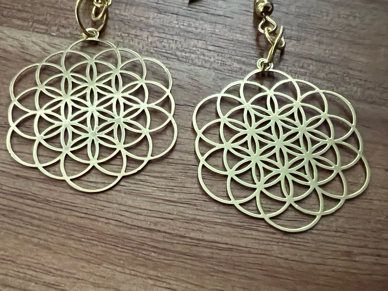 Earrings: Gold Plated Expanded Seed of Life