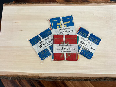 Prayer Flag: LUCKY SIGNS (Mini)