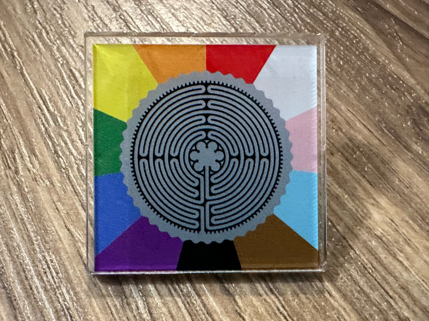 Labyrinth Inclusion Acrylic Pin