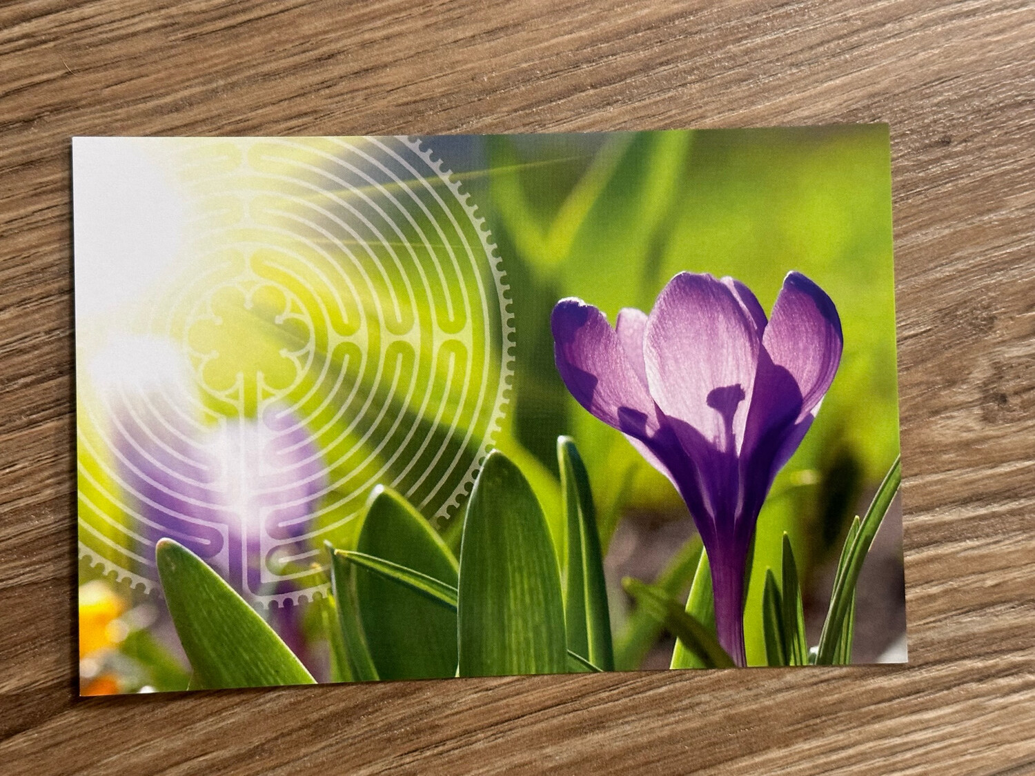 Labyrinths &amp; Nature | Postcards