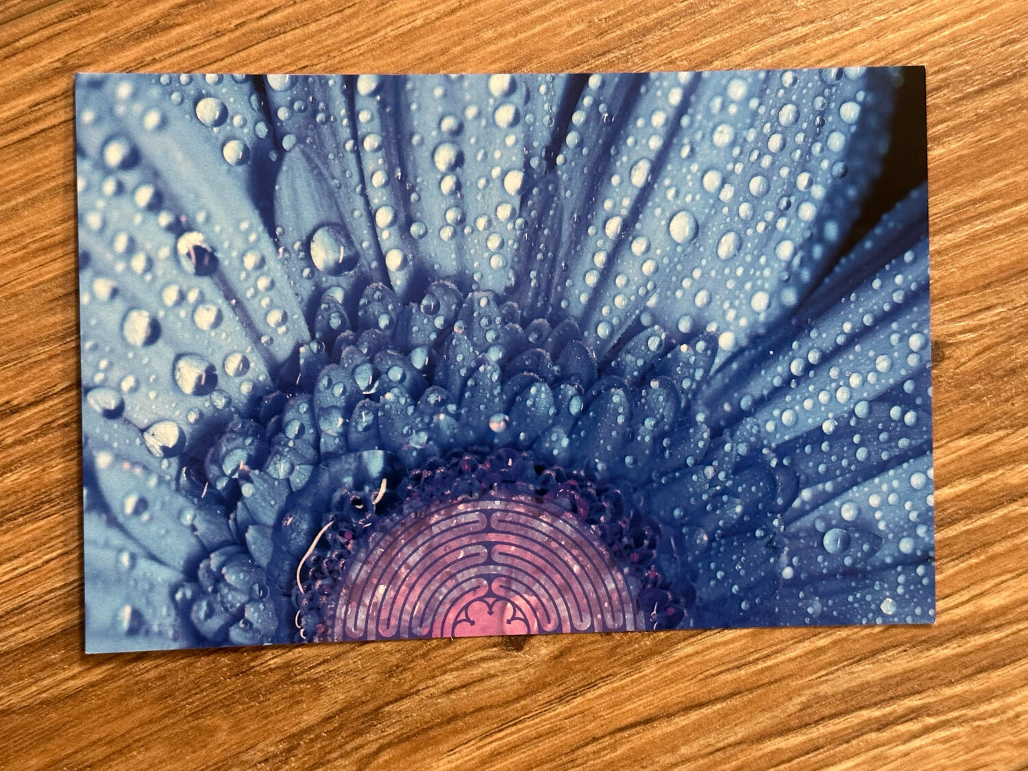 Labyrinths &amp; Nature | Postcards