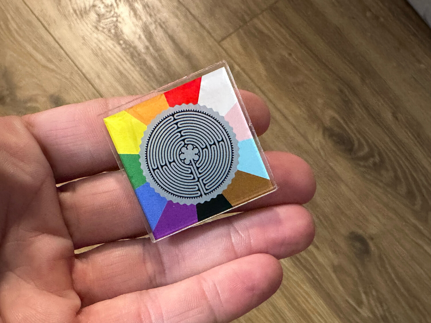 Labyrinth Inclusion Acrylic Pin