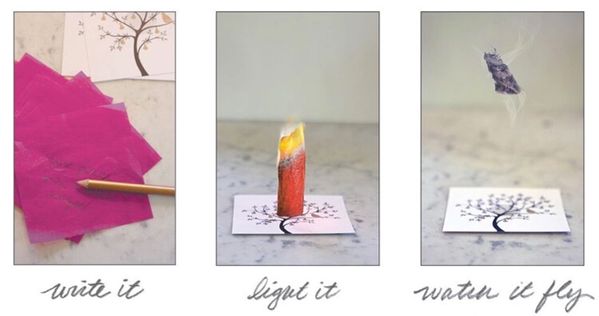 Flying Wish Paper | Cactus Garden