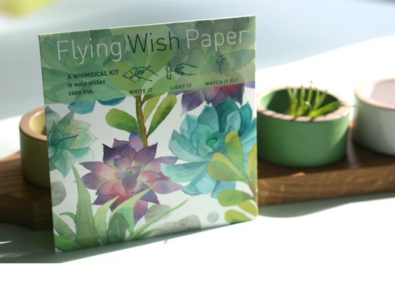 Flying Wish Paper | Cactus Garden