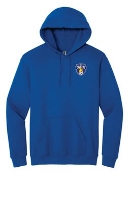 Delavan Comets Hooded Sweatshirt (Customizable)