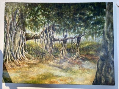 Banyan Trees by Carol Belongea
