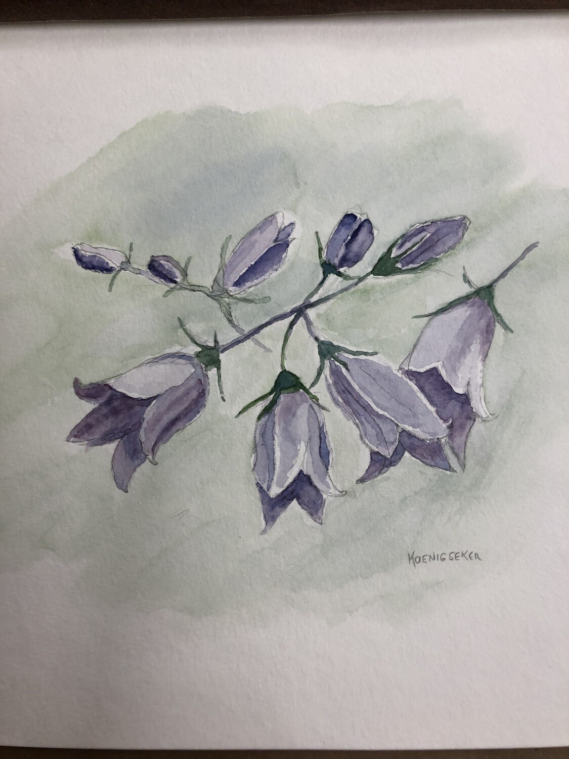 Botanical Watercolor Class  10/11 & 10/12