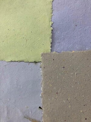 4/19/24 Papermaking with Joan Soldenwagner