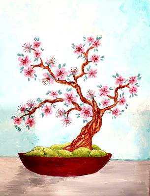 5/31/24 Cherry Blossom Bonsai
