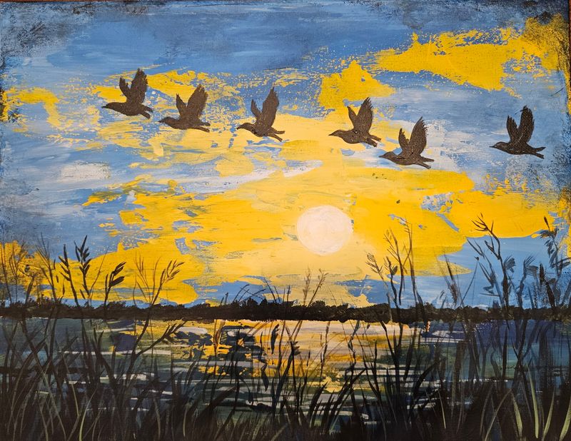 11/1/25 Carol Ducks at Sunset