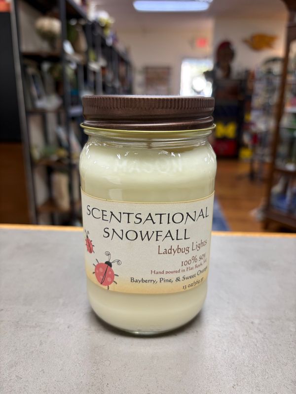 12/12/26 Light the Scent of Christmas Candle Making Class