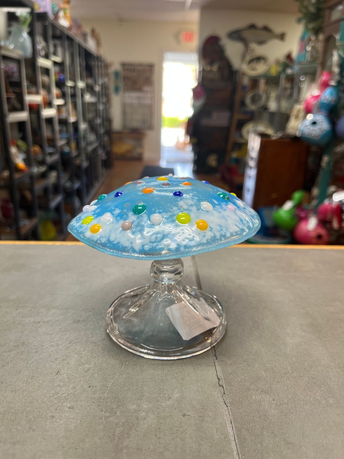 8/1/26 Fused Glass Mushroom 8/1/26 Fused Glass Mushroom