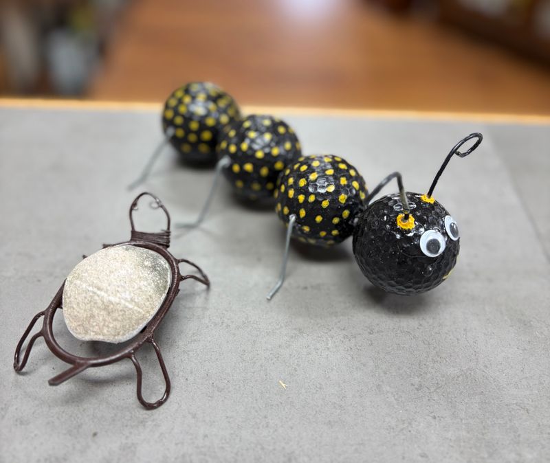 5/2/26 Garden Bug and Turtle