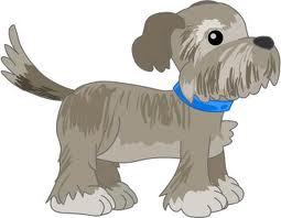 Single Dog Entry: BVKC All Breed B/OB Match June 20, 2025