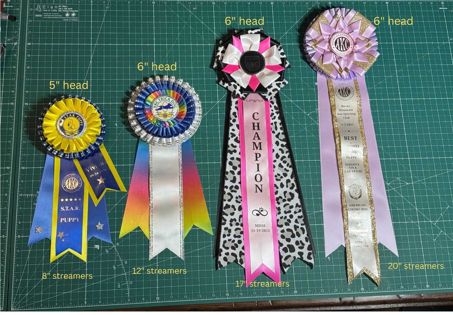 NOHS Ribbon Award Sponsorships