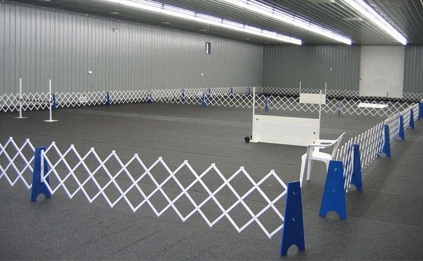 RENT-A-RING FOR OBEDIENCE
