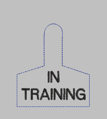 Warning Tag IN TRAINING