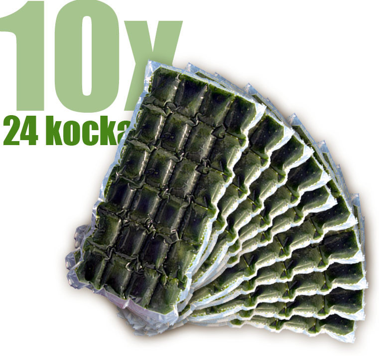 Gyorsfagyasztott bio búzafűlé 10x24 kocka