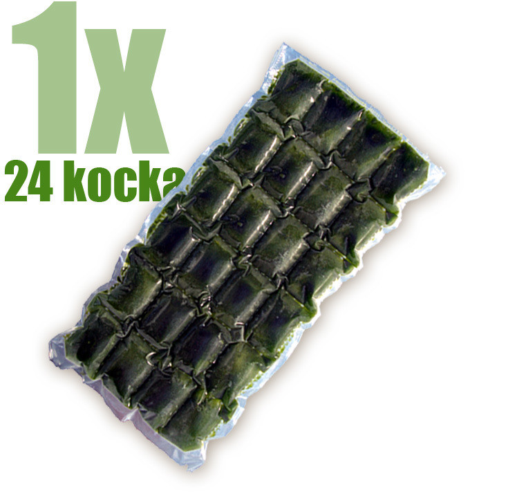 Gyorsfagyasztott bio búzafűlé 24 kocka
