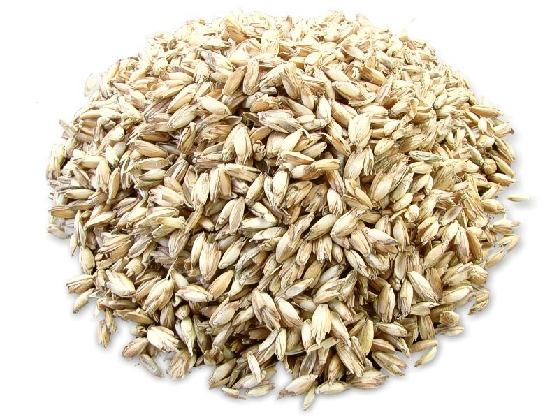 Bio tönkölybúza mag 500g