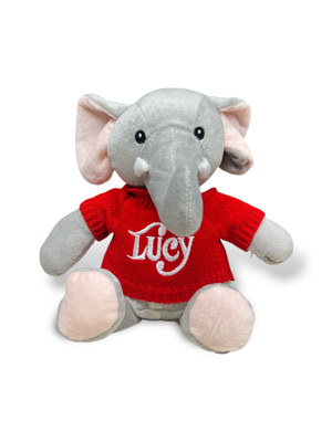 Lucy Embroidered Sweater Plush