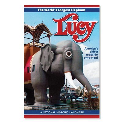 Lucy History Book