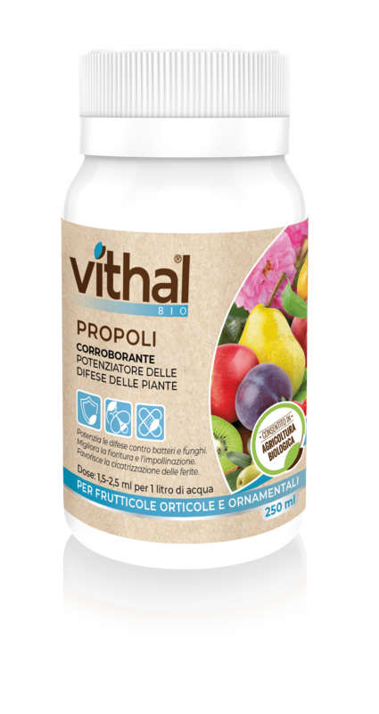 PROPOLI VITHAL 250 ML