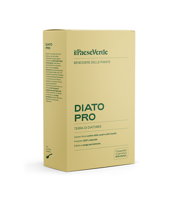 DiatoPro Polvere di roccia gr.700