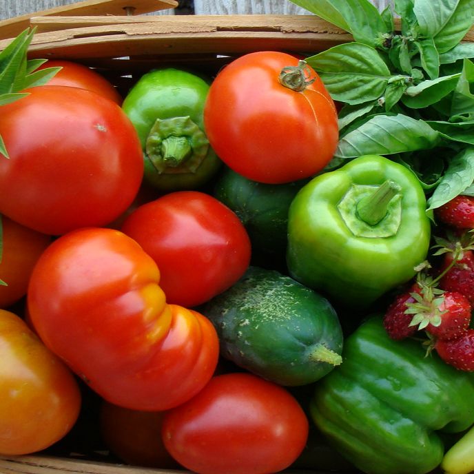 Kit completo Biodifesa & Nutrizione Ortaggi da frutto