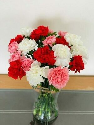* Charming Carnations