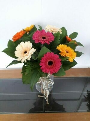 Simply Mixed Gerbera Simply Mixed Gerbera