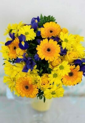 Bold & Beautiful Bold & Beautiful