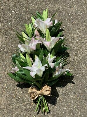 Lily Tied Sheaf – White Lily Tied Sheaf – White