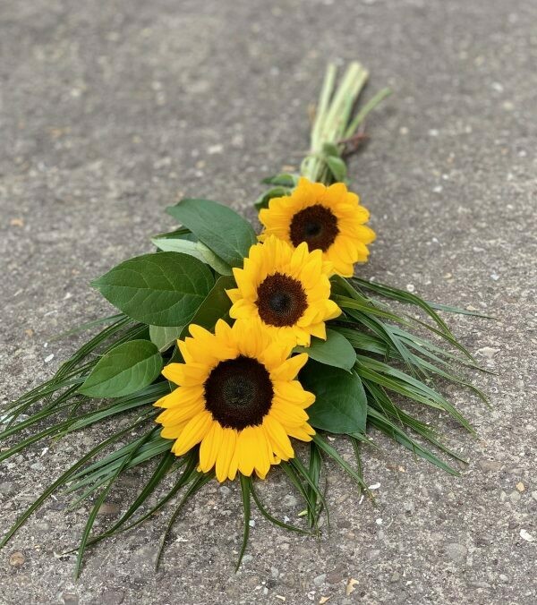 Sunflower Tied Sheaf
