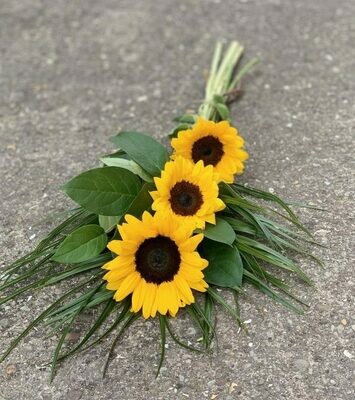 Sunflower Tied Sheaf Sunflower Tied Sheaf