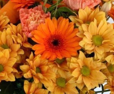 * Florist Choice Seasonal Autumn Gift Wrap-Next Day * Florist Choice Seasonal Autumn Gift Wrap-Next Day