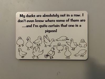 Ducks Not In A Row Fridge Magnet