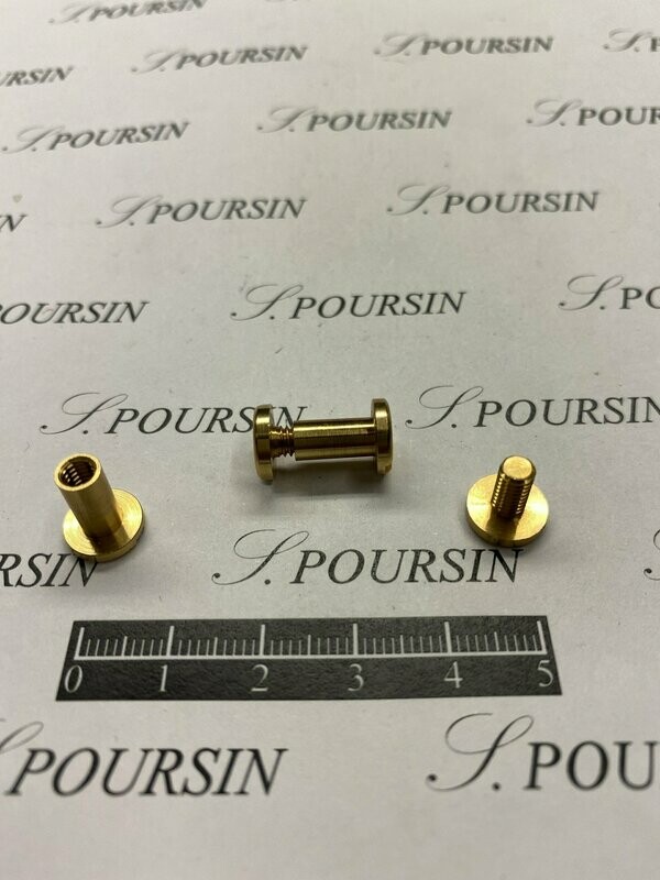 Bouton 9,5x12 Vis reliure Laiton Poli Bille - lot de 10 pièces