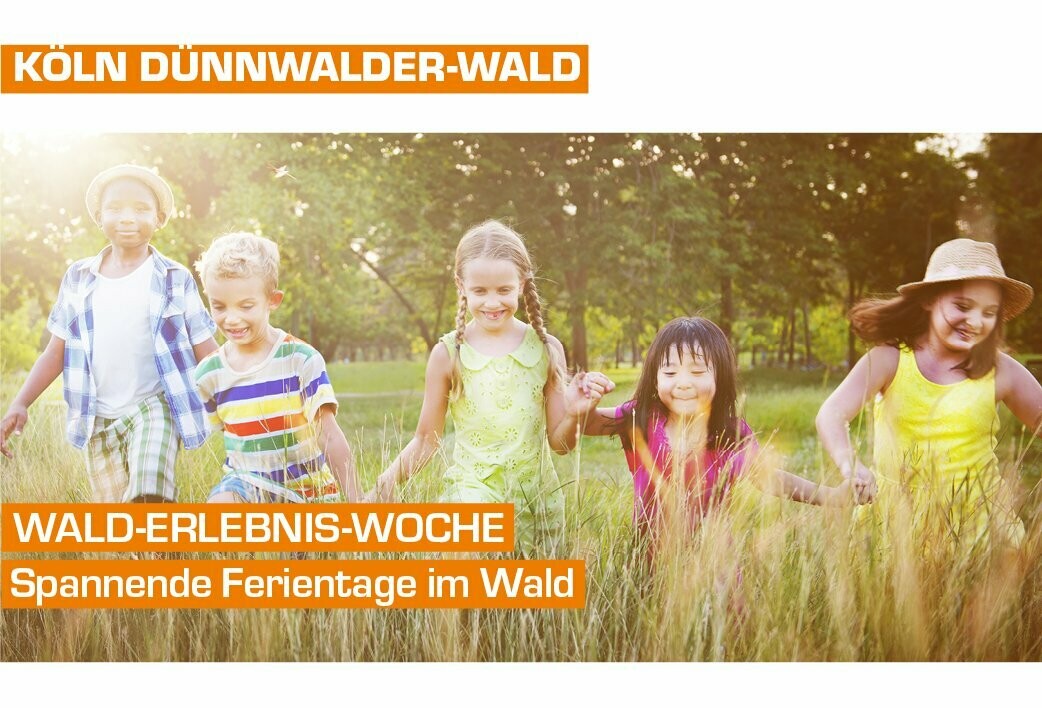 Wald-Erlebnis-Woche in Köln Dünnwald
