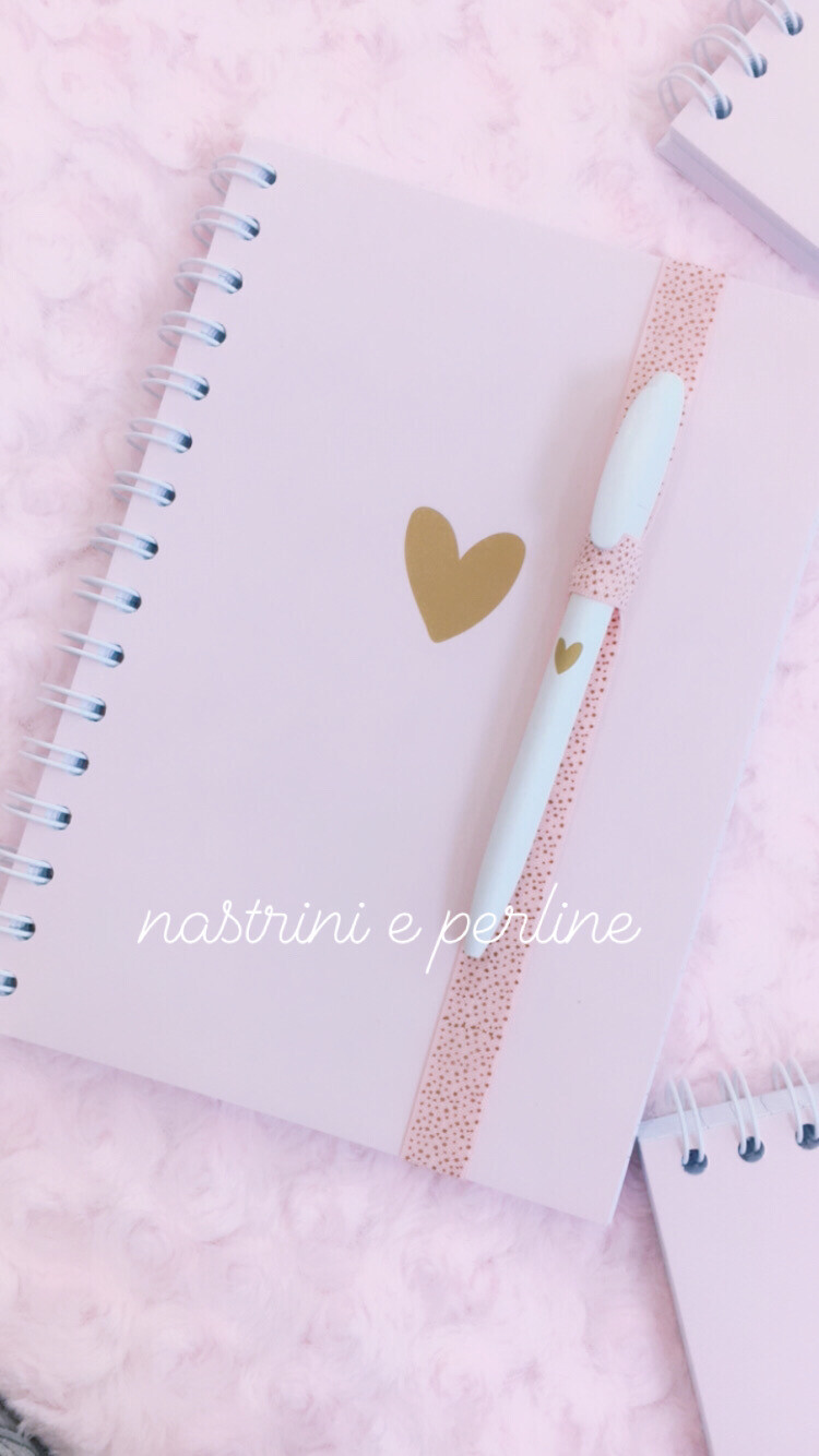 Combo C quaderno + penna + portapenne SEG
