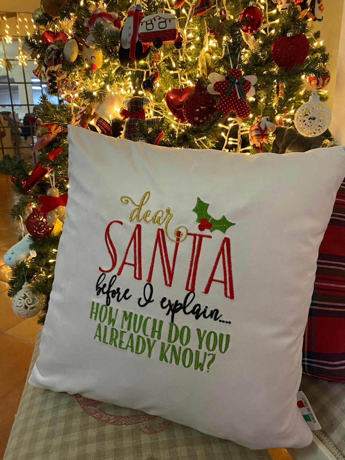 Cuscino Dear Santa 1