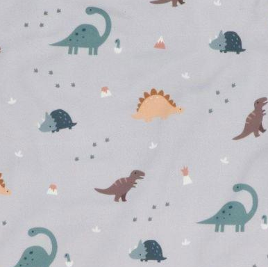 Dinosauri