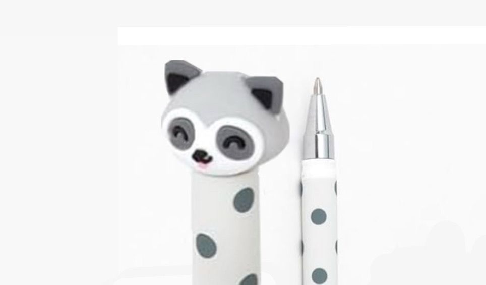 Penna cancellabile procione Mr Wonderful